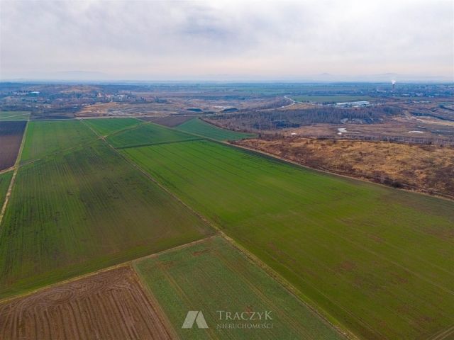 Działka rolna Rusko. Zdjęcie 10