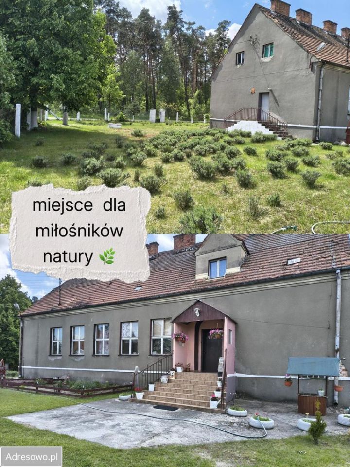 dom wolnostojący, 10 pokoi Królewiny. Zdjęcie 5