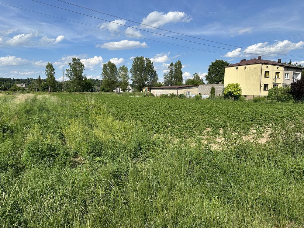 Działka budowlana Ostrowiec Świętokrzyski, ul. Onufrego Zagłoby. Zdjęcie 6