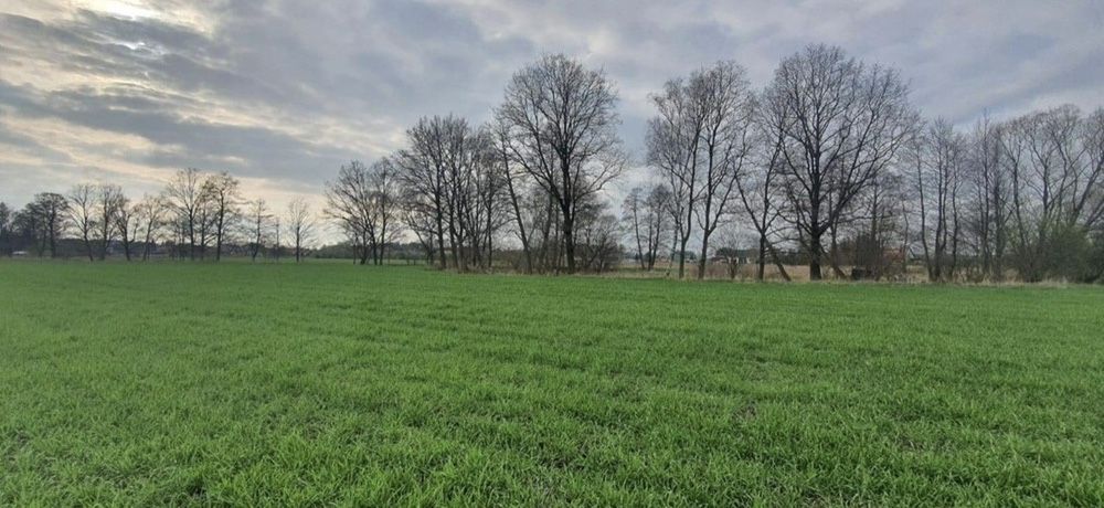 Działka budowlana Świeca. Zdjęcie 6