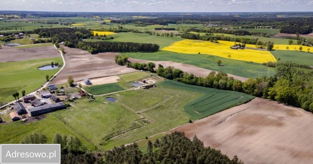 Działka budowlana Trzcińsk. Zdjęcie 6