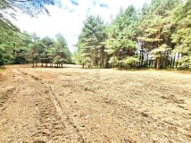 Działka budowlana Golczewo, ul. Spacerowa. Zdjęcie 4