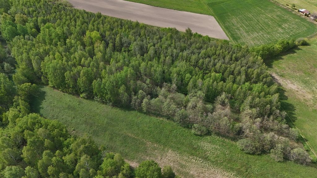 Działka Skopanie. Zdjęcie 5