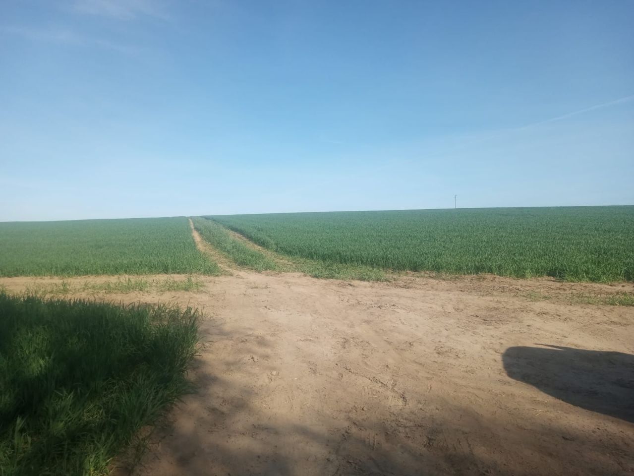 Działka siedliskowa Stobno. Zdjęcie 4