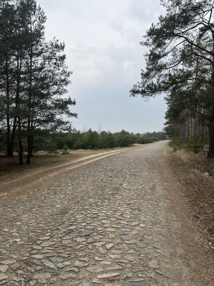 Działka rolna Dębienica. Zdjęcie 4