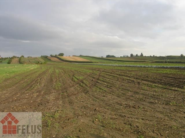 Działka budowlana Proszowice Podgórze. Zdjęcie 1