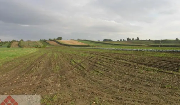 Działka budowlana Proszowice Podgórze