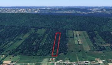 Działka rolna Wiącka Kapkazy