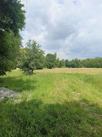 Działka budowlana Łomna. Zdjęcie 1