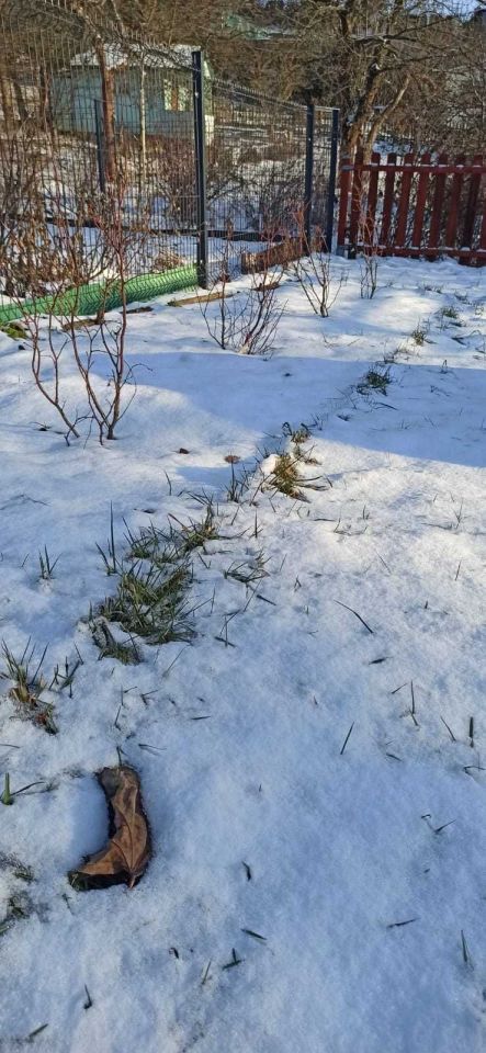 Działka rod Zielona Góra. Zdjęcie 7