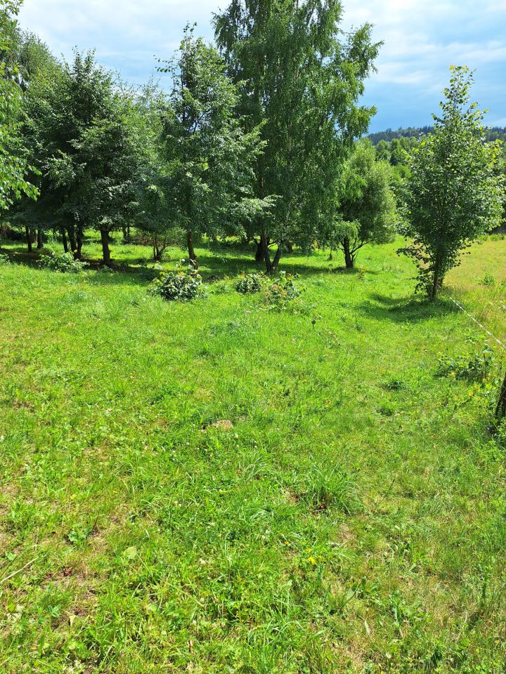 Działka rolno-budowlana Potoczek. Zdjęcie 2