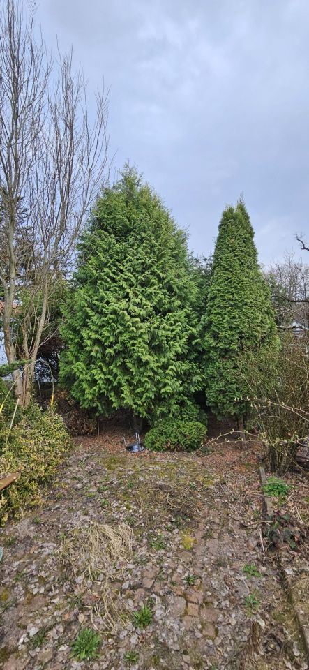 Działka rod Odrano-Wola, ul. Niedźwiedzia. Zdjęcie 2