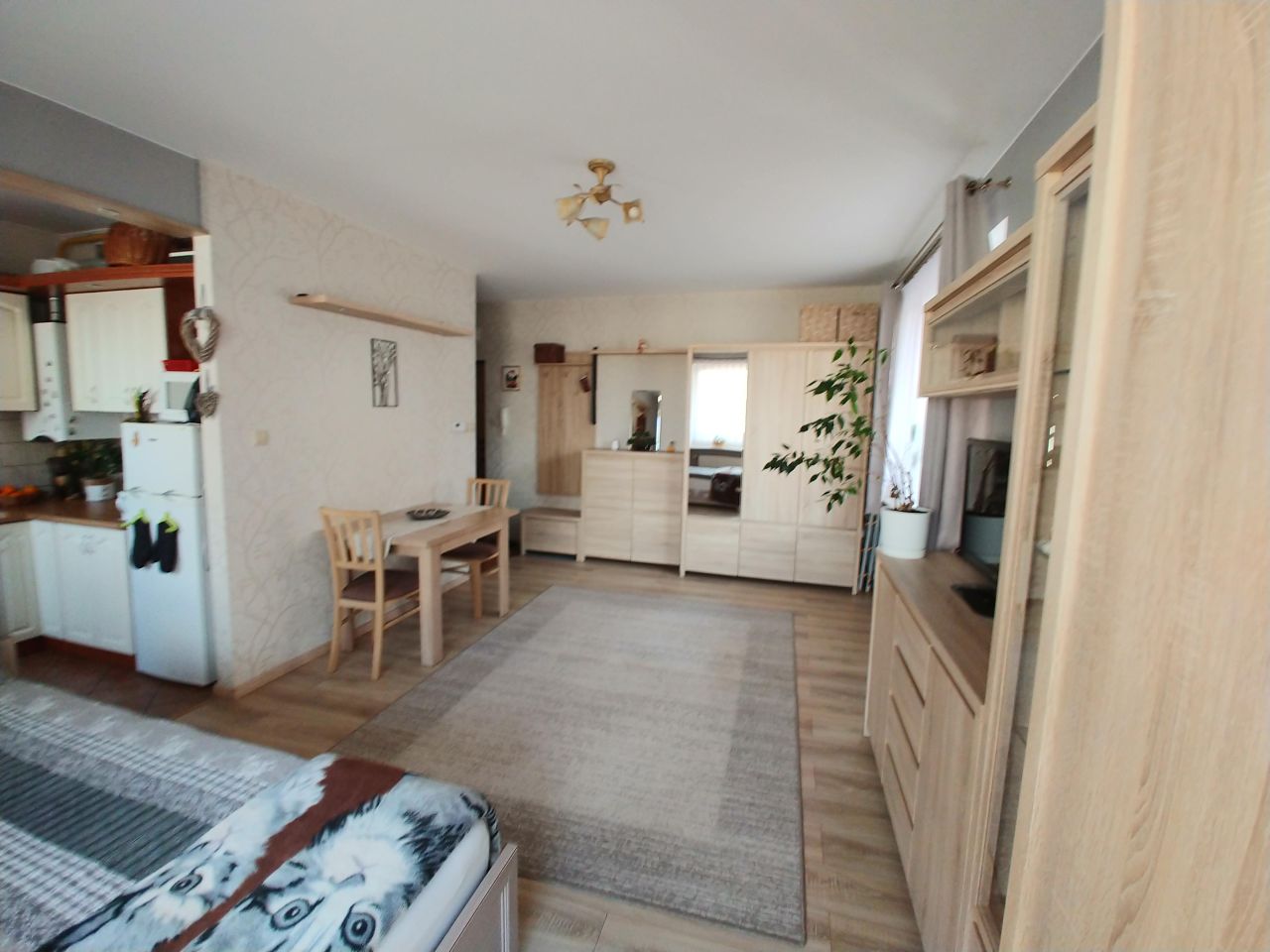 Mieszkanie 1-pokojowe Brwinów, ul. Sochaczewska. Zdjęcie 3