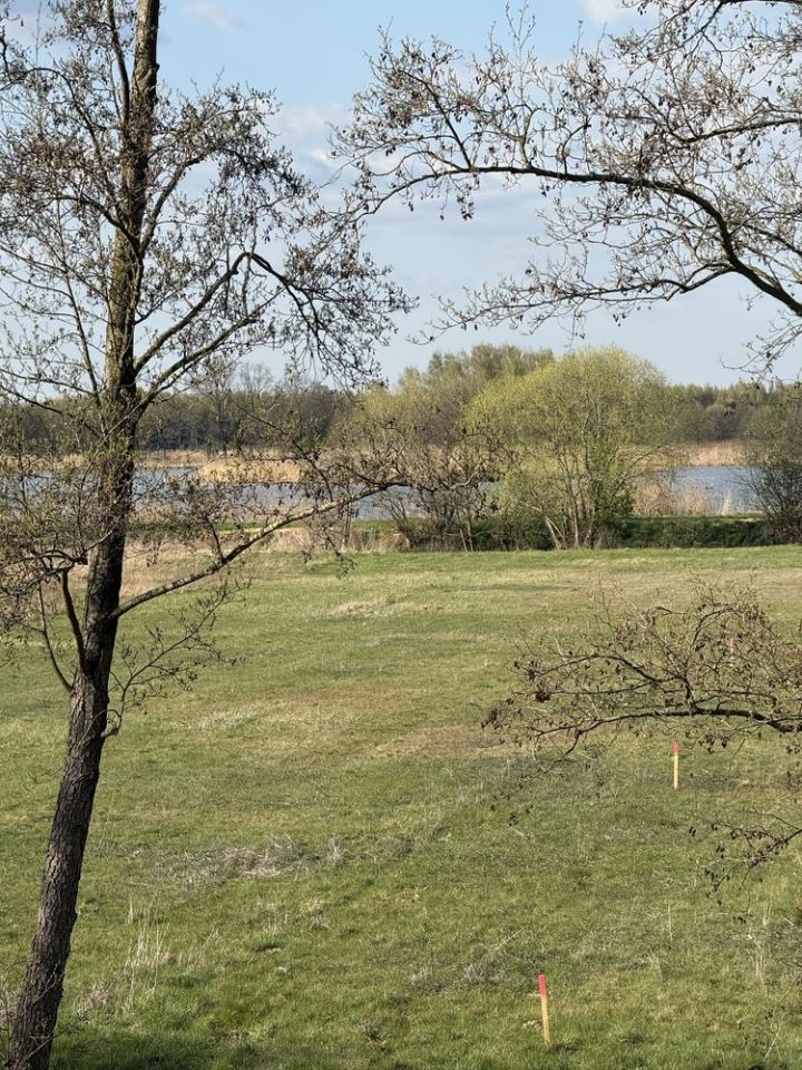 Działka budowlana Kuźniczysko. Zdjęcie 1