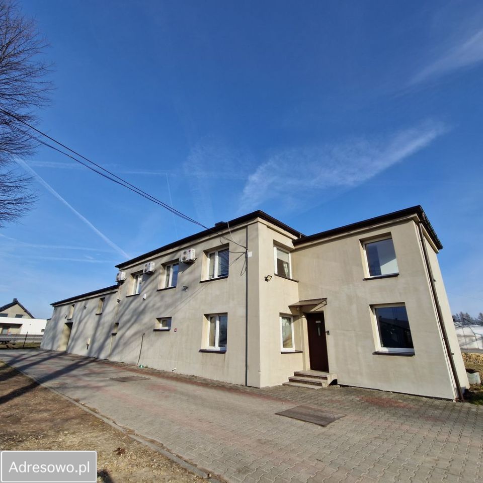 Hala/magazyn Rudziczka, ul. Drozdów. Zdjęcie 3