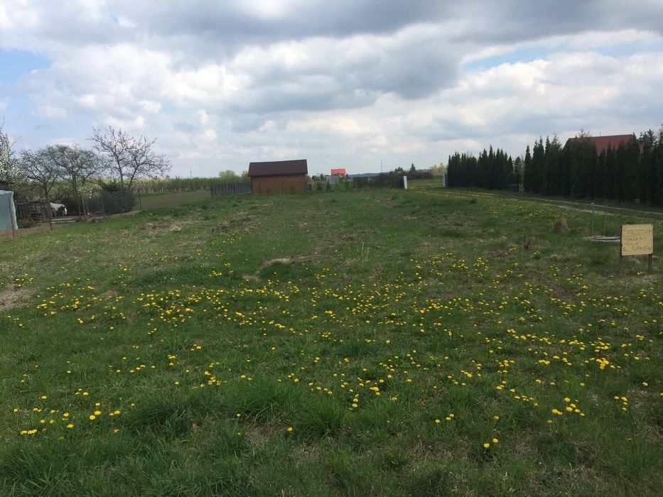 Działka budowlana Wojszyn. Zdjęcie 2