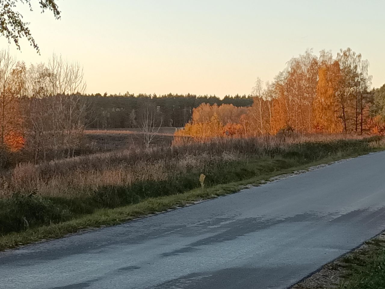 Działka rolno-budowlana Niedamowo. Zdjęcie 3