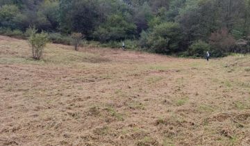 Działka rekreacyjna Krempna