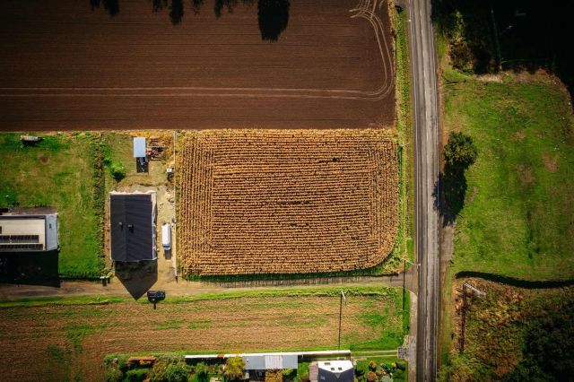 Działka budowlana Pietrowice Wielkie. Zdjęcie 5