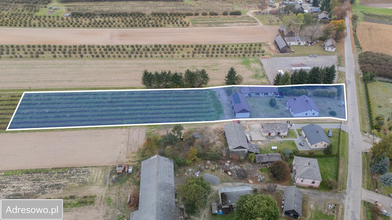 siedlisko Ksawerówka. Zdjęcie 18