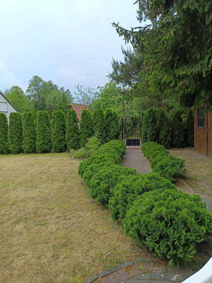 Działka rekreacyjna Brzoza. Zdjęcie 5