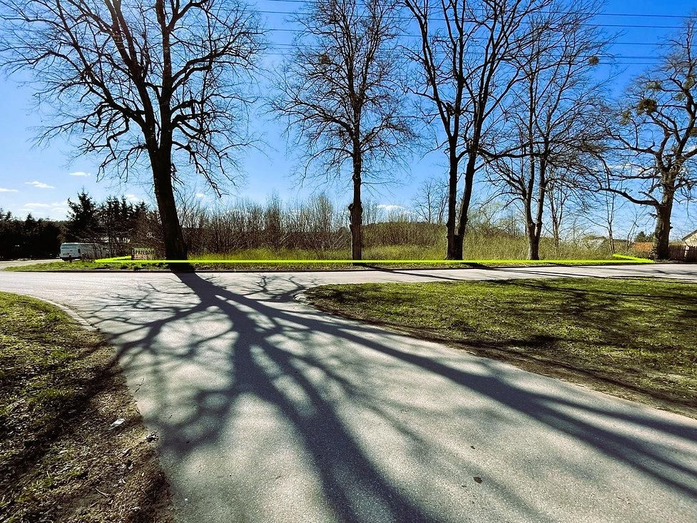 Działka budowlana Zdory. Zdjęcie 10