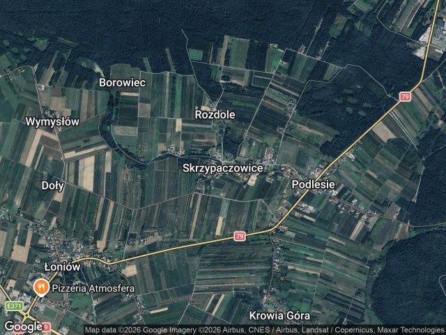 Działka rolno-budowlana Skrzypaczowice Doły. Zdjęcie 1