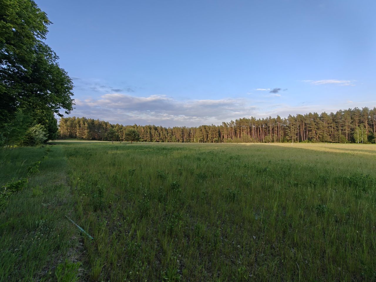 Działka rolna Faryny, Faryny. Zdjęcie 8