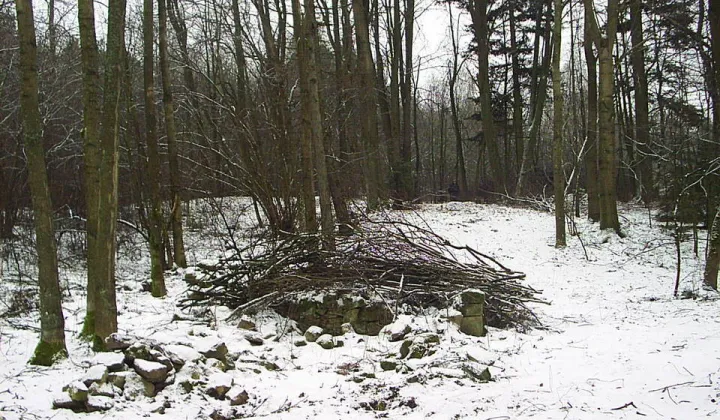 Działka Kuźnica