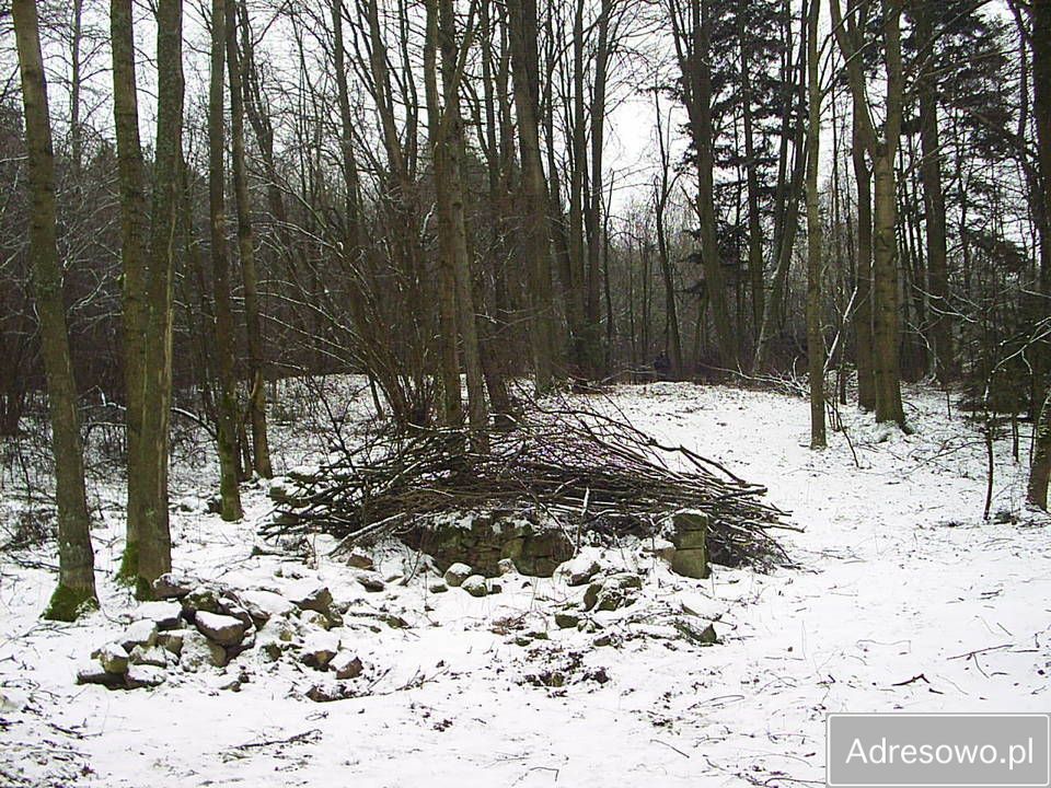 Działka Kuźnica. Zdjęcie 1