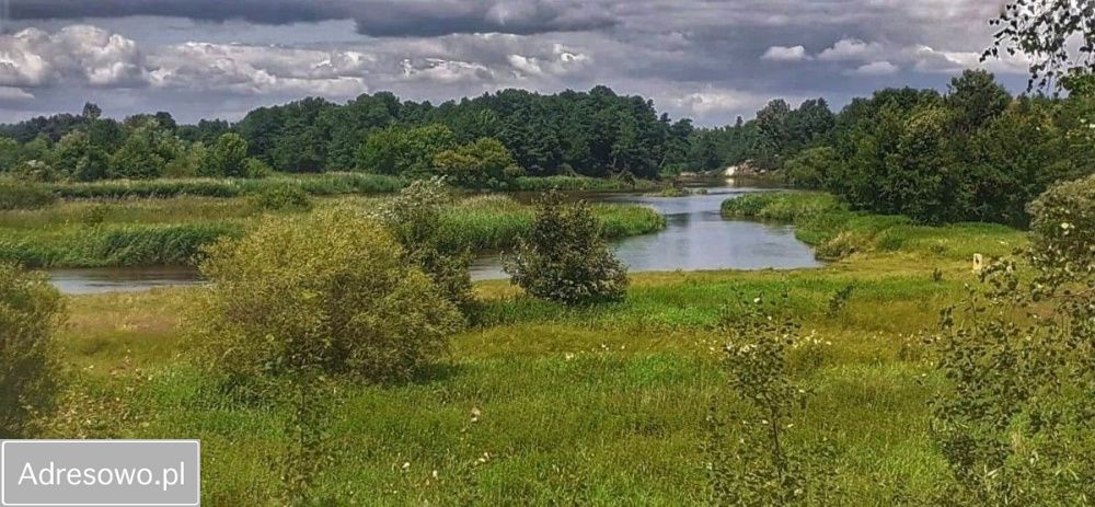 Działka rekreacyjna Biała Góra. Zdjęcie 6