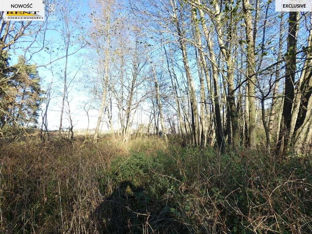 Działka rekreacyjna Krzywnica. Zdjęcie 16