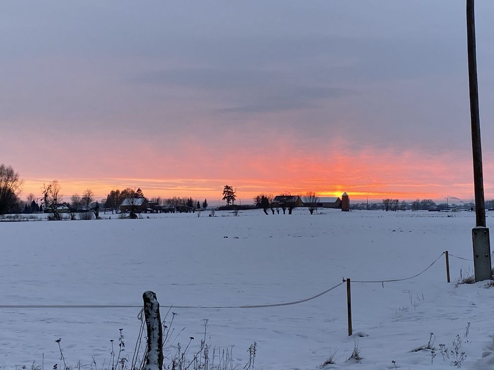 Działka rolno-budowlana Benowo. Zdjęcie 8
