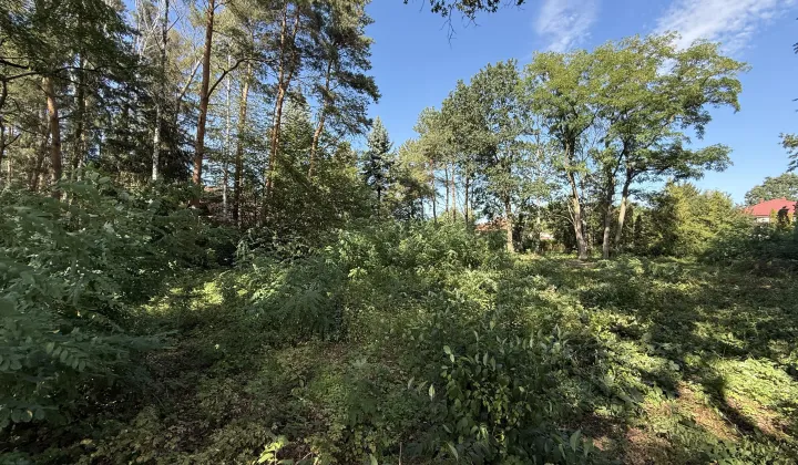 Działka budowlana Głosków Głosków-Zielone, ul. Wczasowa