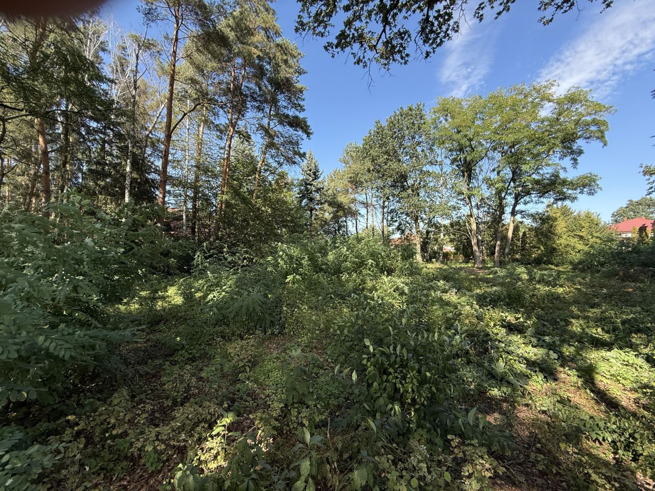 Działka budowlana Głosków Głosków-Zielone, ul. Wczasowa. Zdjęcie 2