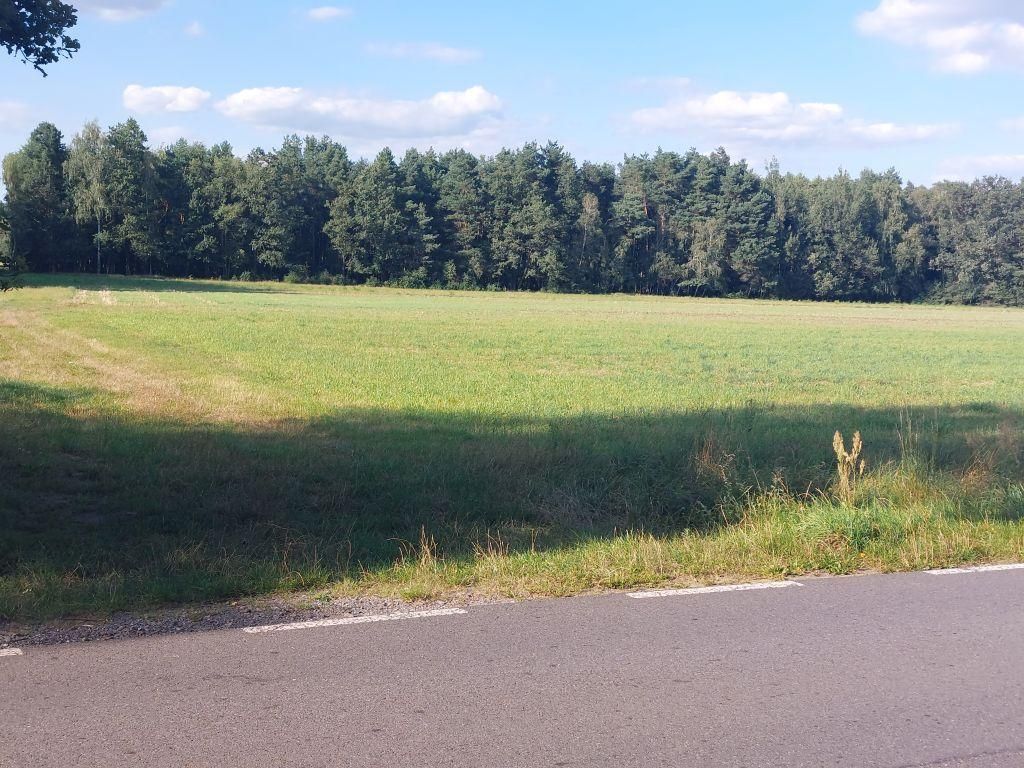 Działka rolno-budowlana Zamęty. Zdjęcie 5