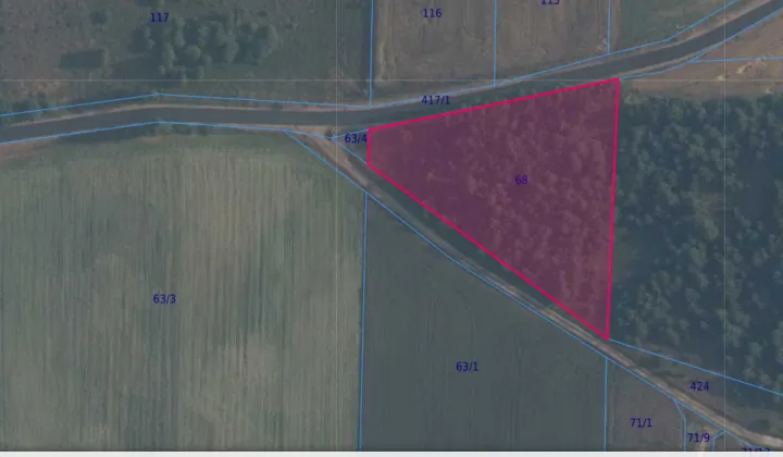 Działka siedliskowa Rokity