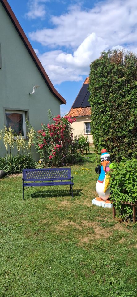 dom wolnostojący, 4 pokoje Brejdyny. Zdjęcie 5