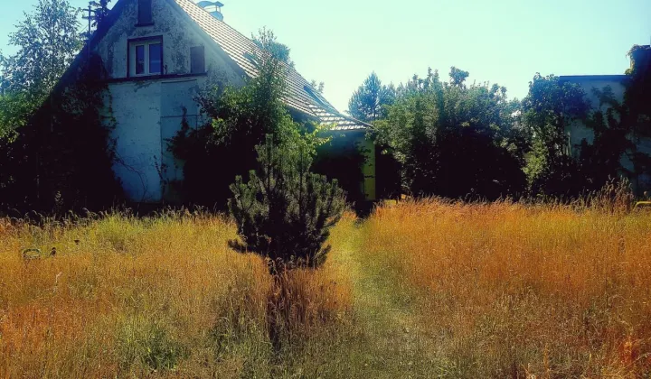 dom wolnostojący, 2 pokoje Jagodzin
