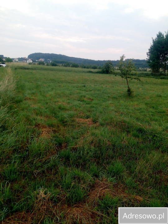 Działka budowlana Bolmin Milechowy. Zdjęcie 2