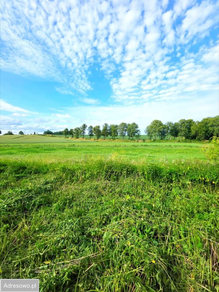 Działka budowlana Tarławki. Zdjęcie 12