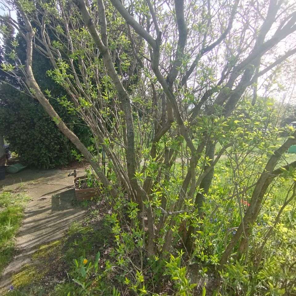 Działka rod Warszawa Targówek, ul. Janowiecka. Zdjęcie 2