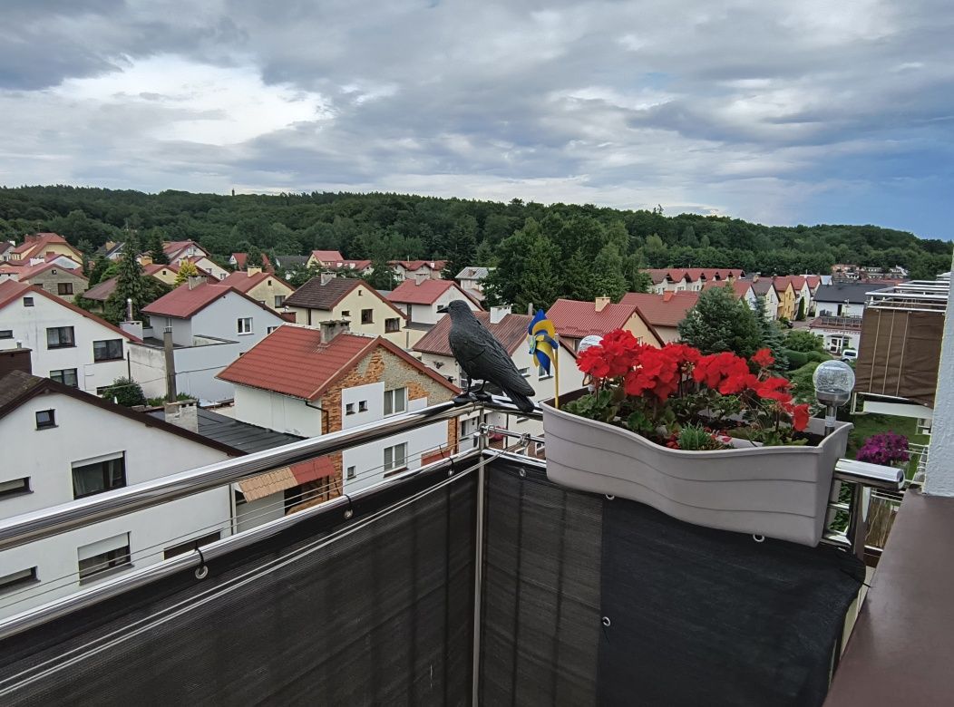 Mieszkanie 3-pokojowe Koszalin, ul. Tradycji. Zdjęcie 8