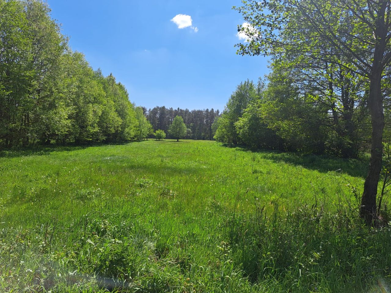 Działka budowlana Kucbork. Zdjęcie 4