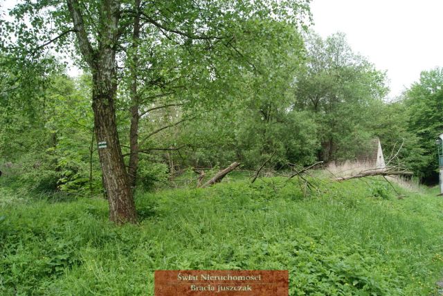 Działka budowlana Romanów. Zdjęcie 7