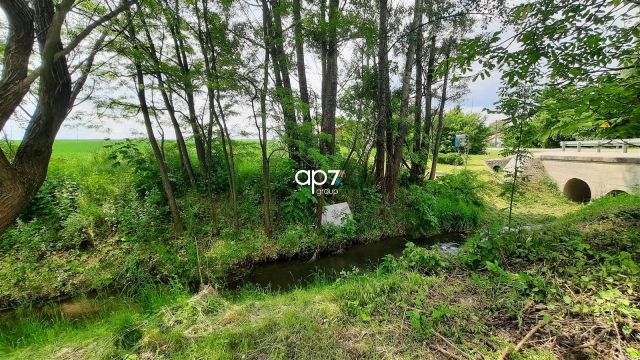 Działka budowlana Kościelec. Zdjęcie 2