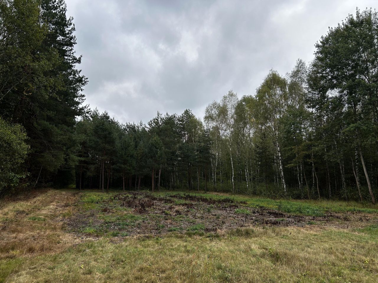 Działka rolno-budowlana Rydzów. Zdjęcie 6