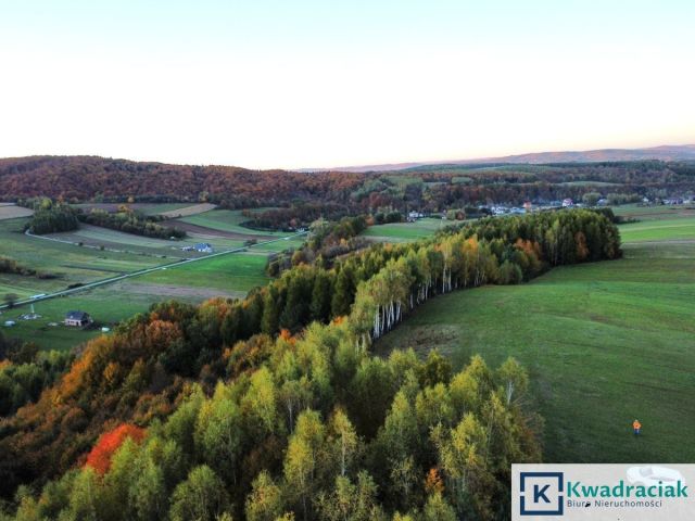 Działka leśna Wolica. Zdjęcie 5