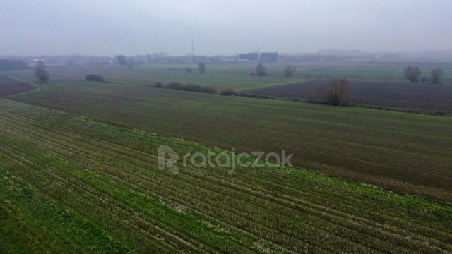 Działka budowlana Drewnica, ul. Wierzbowa. Zdjęcie 12