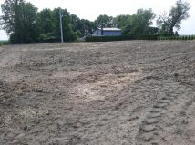 Działka rolno-budowlana Kamieniec. Zdjęcie 2